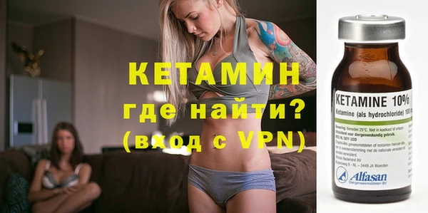 шишки Абаза