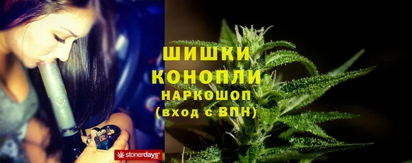 шишки Абаза