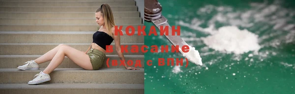твердый Алексеевка