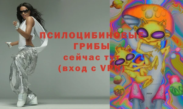 твердый Алексеевка