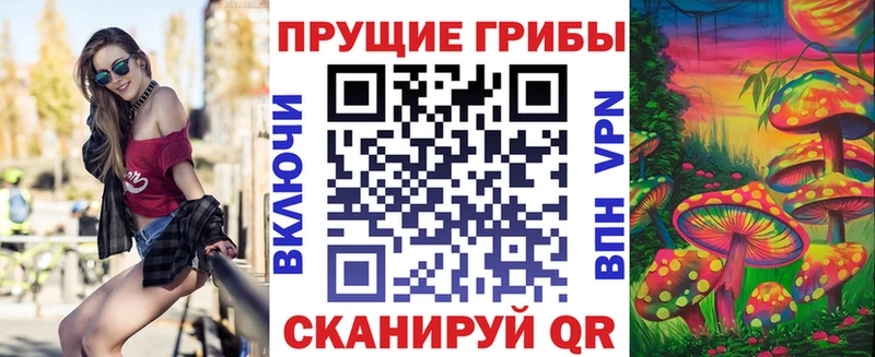 shop телеграм  Черепаново  Псилоцибиновые грибы прущие грибы 